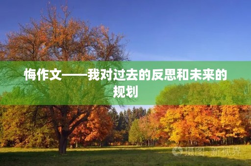 悔作文——我对过去的反思和未来的规划