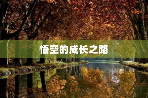 悟空的成长之路 悟空的成长之路