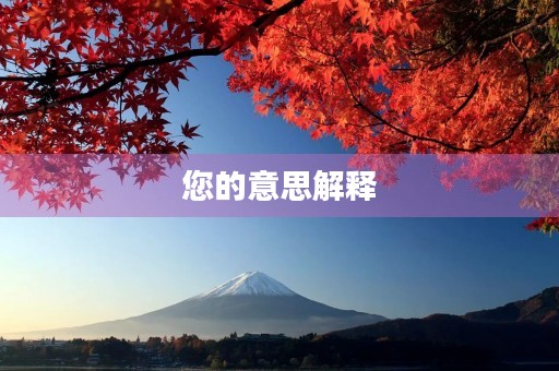 您的意思解释(您的拼音) 您的意思解释(您的拼音)