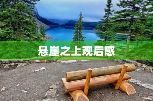 悬崖之上观后感