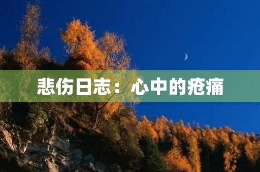 悲伤日志：心中的疮痛