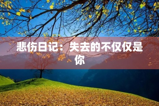悲伤日记:失去的不仅仅是你 悲伤日记:失去的不仅仅是你