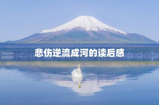 悲伤逆流成河的读后感