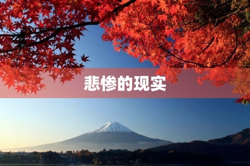 悲惨的现实