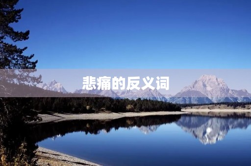 悲痛的反义词(悲痛的反义词)