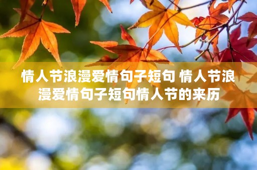 情人节浪漫爱情句子短句 情人节浪漫爱情句子短句情人节的来历 情人节浪漫爱情句子短句 情人节浪漫爱情句子短句情人节的来历