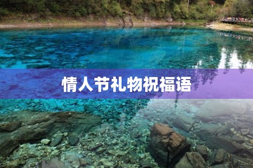 情人节礼物祝福语，情人节礼物唯美句子