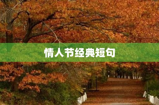情人节经典短句