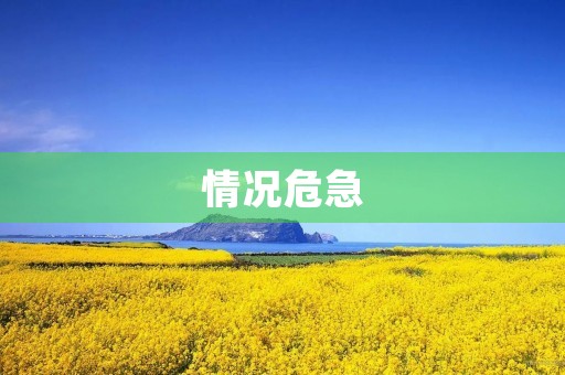 情况危急，成语解救