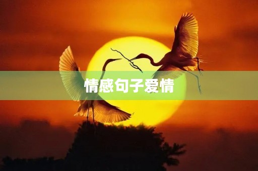 情感句子爱情，情感句子爱情短句