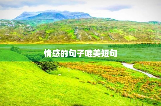 情感的句子唯美短句(情感的句子唯美短句心里好累的成语) 情感的句子唯美短句(情感的句子唯美短句心里好累的成语)