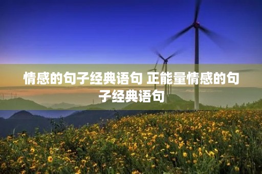 情感的句子经典语句 正能量情感的句子经典语句