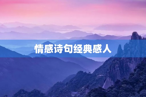 情感诗句经典感人(情感诗句经典感人长句)