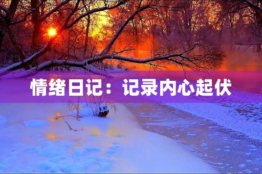 情绪日记：记录内心起伏，释放情绪压力