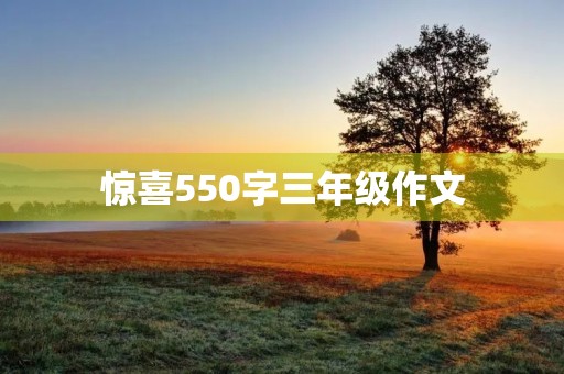 惊喜550字三年级作文