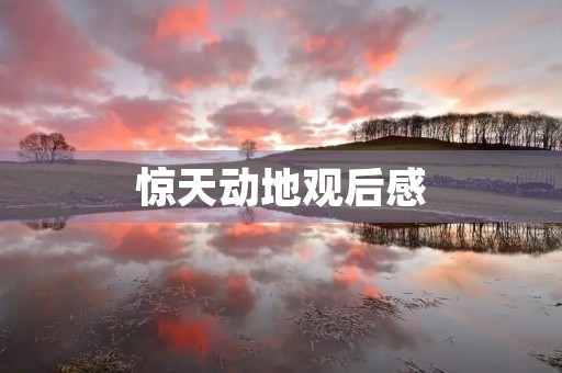 惊天动地观后感 惊天动地观后感