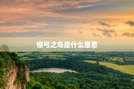 惊弓之鸟是什么意思 惊弓之鸟是什么意思
