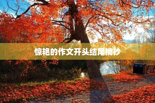 惊艳的作文开头结尾摘抄 惊艳的作文开头结尾摘抄