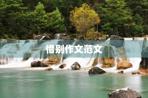 惜别作文范文 惜别作文范文