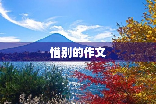 惜别的作文