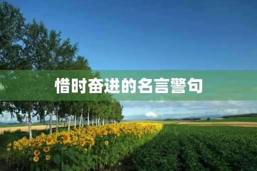 惜时奋进的名言警句(惜时奋进的名言警句简短)
