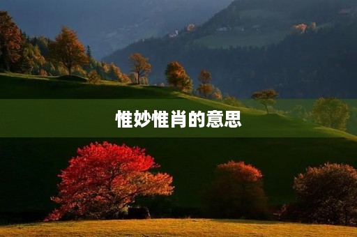 惟妙惟肖的意思(惟妙惟肖的拼音)