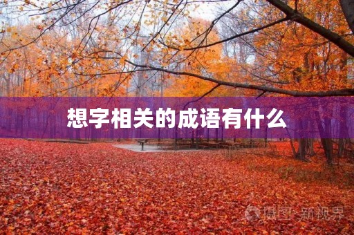 想字相关的成语有什么