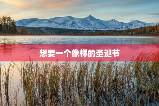 想要一个像样的圣诞节 想要一个像样的圣诞节