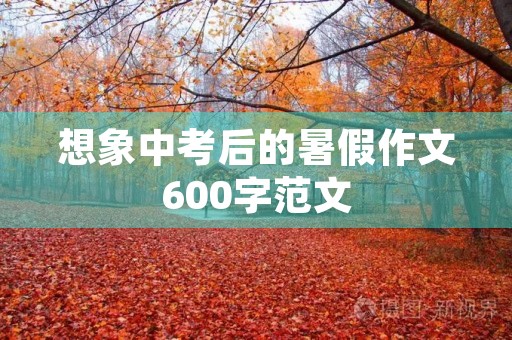 想象中考后的暑假作文600字范文