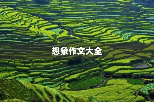 想象作文大全