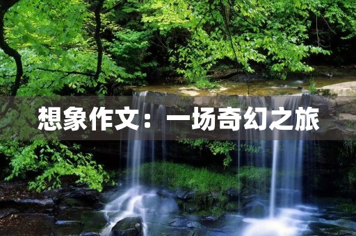 想象作文:一场奇幻之旅 想象作文:一场奇幻之旅