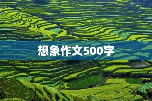 想象作文500字 想象作文500字