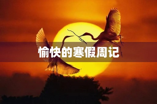 愉快的寒假周记 愉快的寒假周记
