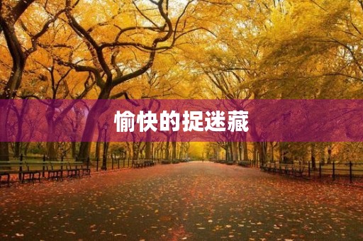 愉快的捉迷藏 愉快的捉迷藏