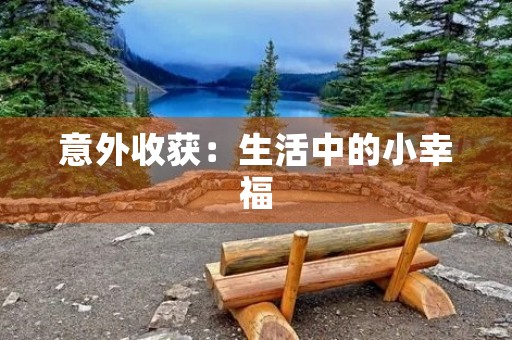 意外收获：生活中的小幸福