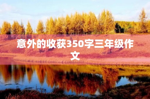 意外的收获350字三年级作文