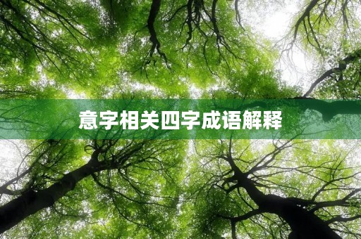 意字相关四字成语解释 意字相关四字成语解释
