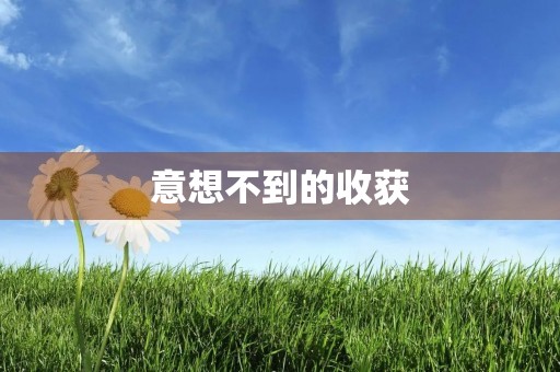 意想不到的收获 意想不到的收获