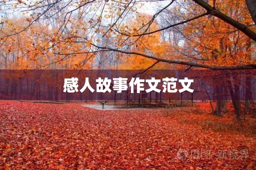 感人故事作文范文 感人故事作文范文