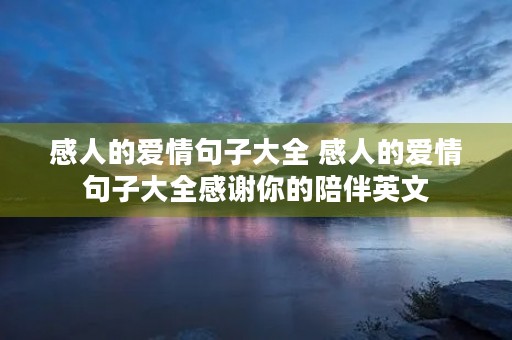 感人的爱情句子大全 感人的爱情句子大全感谢你的陪伴英文 感人的爱情句子大全 感人的爱情句子大全感谢你的陪伴英文
