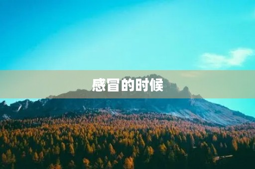 感冒的时候 感冒的时候