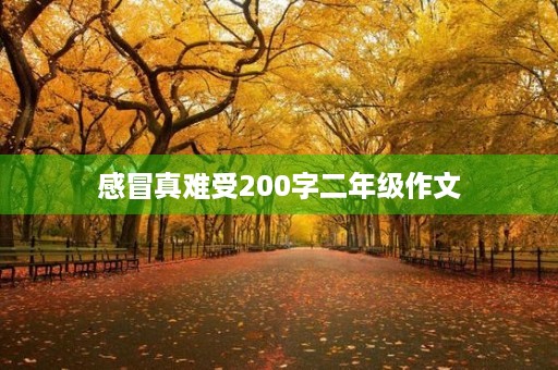感冒真难受200字二年级作文