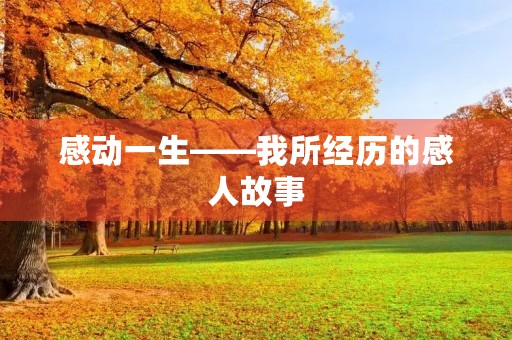 感动一生——我所经历的感人故事
