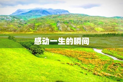 感动一生的瞬间