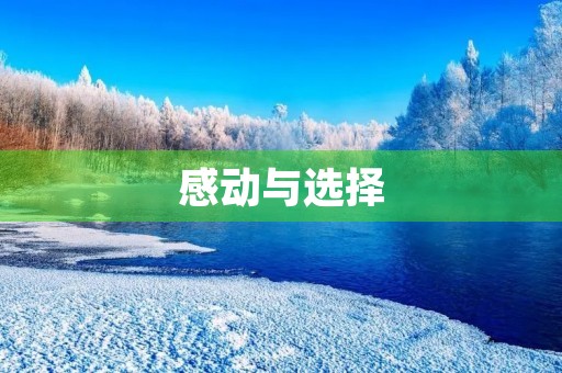 感动与选择 感动与选择