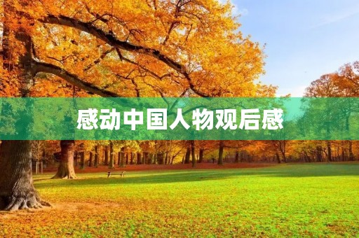 感动中国人物观后感