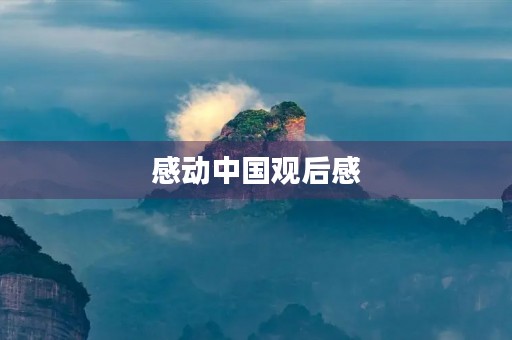感动中国观后感