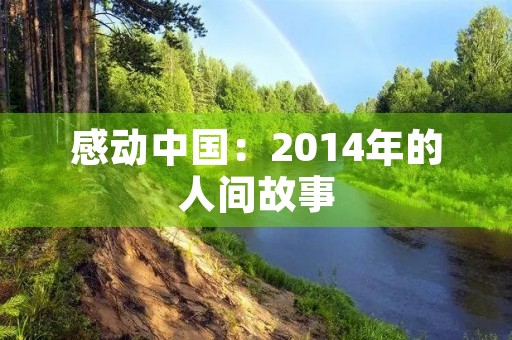 感动中国：2014年的人间故事
