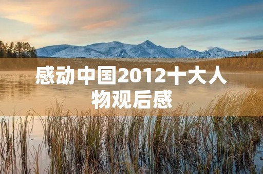 感动中国2012十大人物观后感