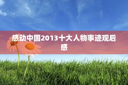 感动中国2013十大人物事迹观后感